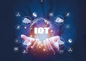 An Overview of IoT Services Creation and Management in the Industrial Sector